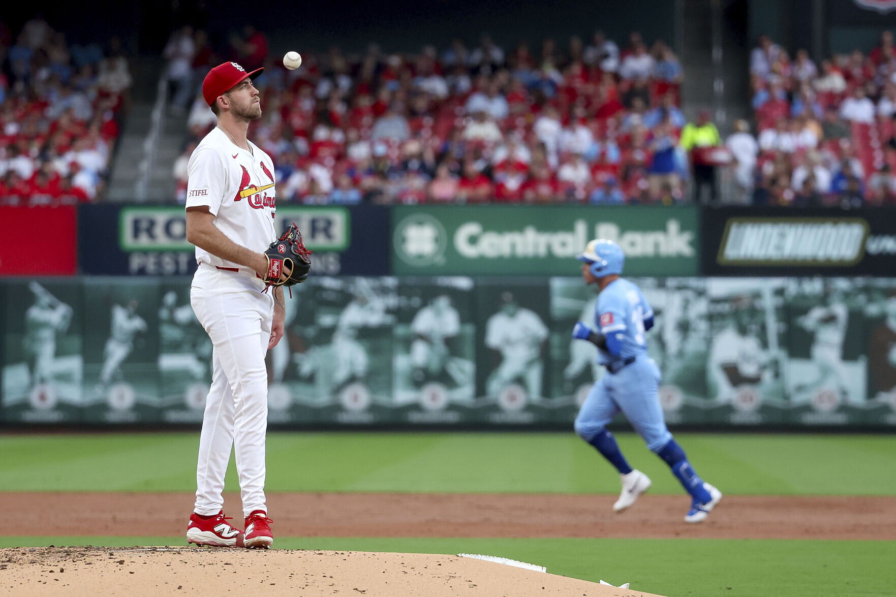 Royals Cardinals Baseball